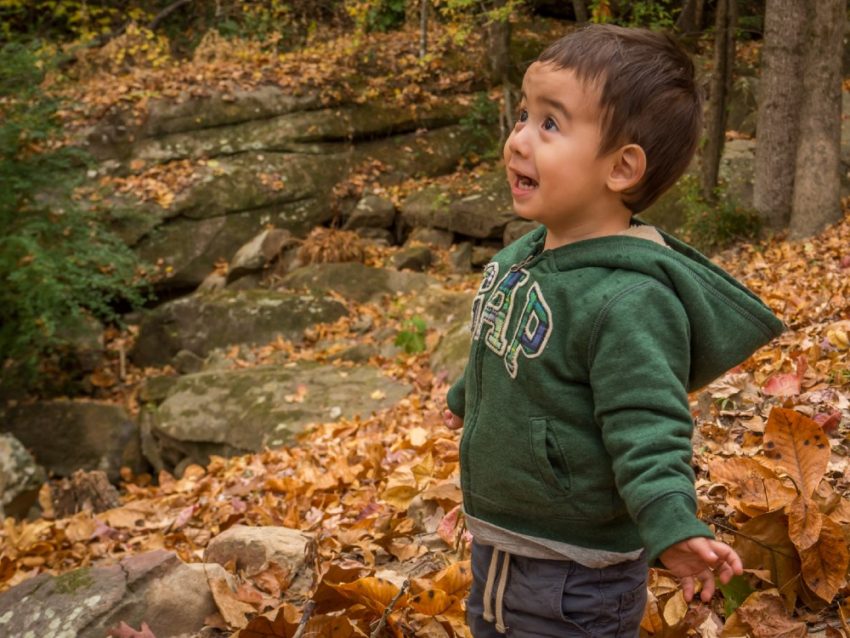 Young boy in a green hoodie stands among orange autumn leaves, arms outstretched with a surprised expression in a forest.
