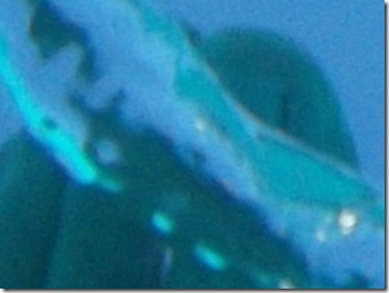 Blue-tinted abstract close-up with a diagonal turquoise streak across a dark teal background.