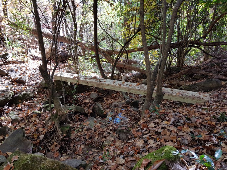 Bridge up, Trees down – Bruce Photos