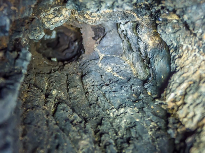 Dark hollow in rough tree bark with gray-brown textures and gold sap lines on a cracked surface.