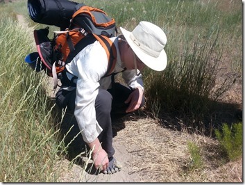 Hiker with a wide-brim hat crouches on a dusty dirt trail, white shirt and large backpack with orange straps, tall grasses on both sides.