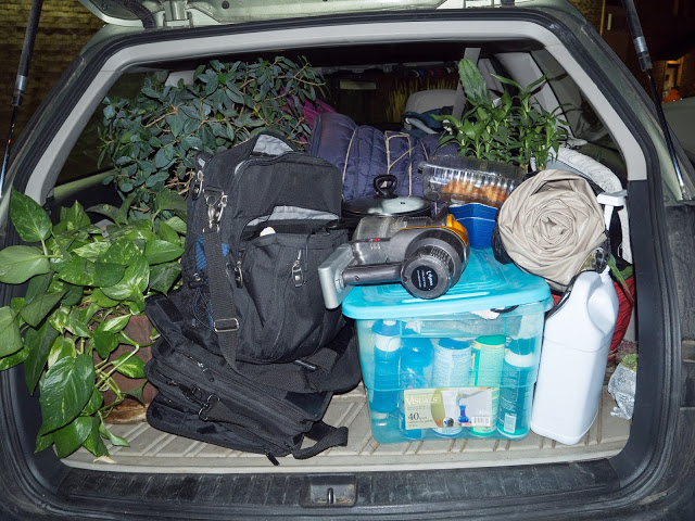 Open trunk packed with travel gear: black backpack, blue tote, camera, rolled mat, jug, and potted plants.