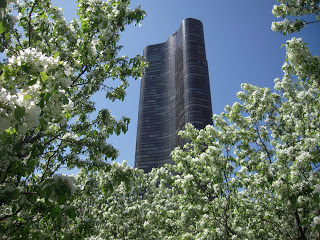 Glass-clad skyscraper rises behind white-flowering trees against a blue sky.
