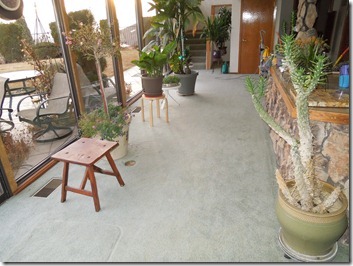 Light-gray patio with glass walls and potted plants along both sides; a small wooden bench, stool, and a doorway at the far end.