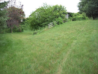 Green hillside with tall grass, a small wooden gate among bushes, and trees in the background.