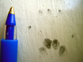 Blue ballpoint pen with gold tip beside faint brown animal paw prints on a light surface.
