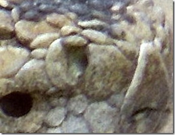 DSCN1603-003
