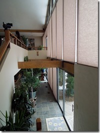 DSCN5008