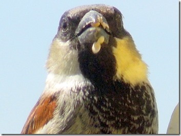 DSCN5842