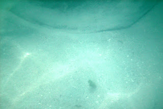 Turquoise-green underwater scene with sunlit ripples across a sandy bottom and a small dark speck near the center.