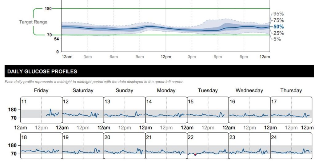 Top: blue line shows blood glucose near the target range with grid; bottom: two daily glucose profiles with hourly marks and blue traces.