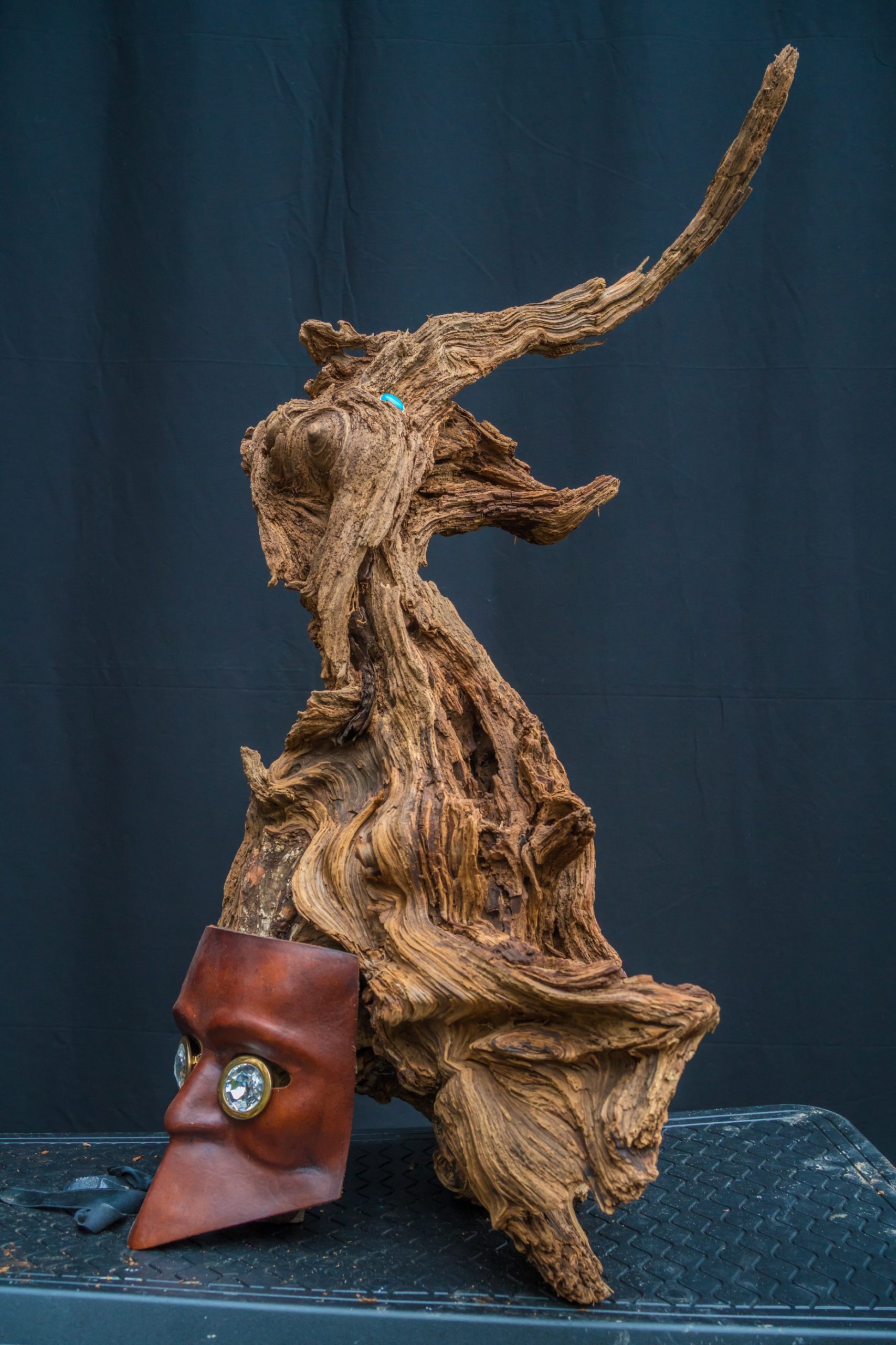 Banzai Bonsai Bruce Photos