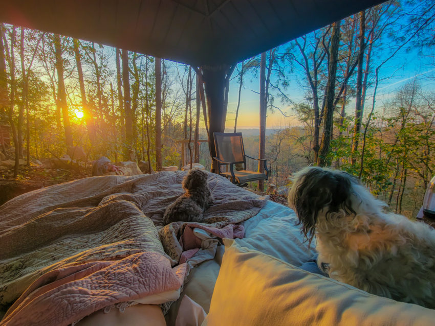 Sunset glow over a forest seen from a covered porch; bed with pink and gray blankets and pillows, someone tucked in, with a fluffy white dog nearby.