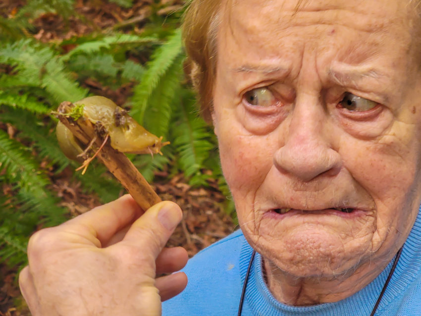 Elderly person in blue shirt with a puzzled expression, a hand holds a brown mushroom near their left ear, green ferns in the background.