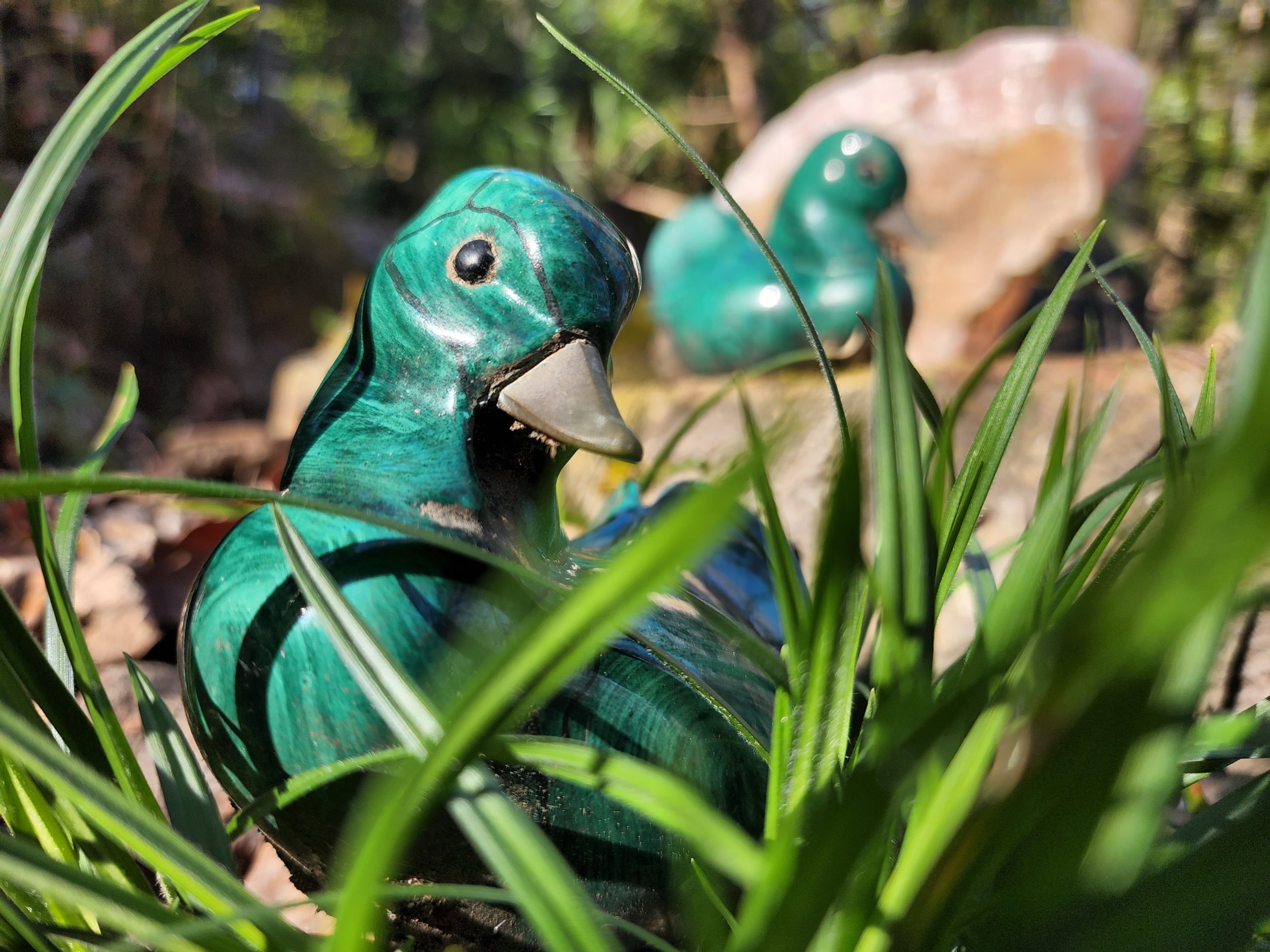 Emerald-green duck garden statue among tall grass, with a blurred beige rock in the background.