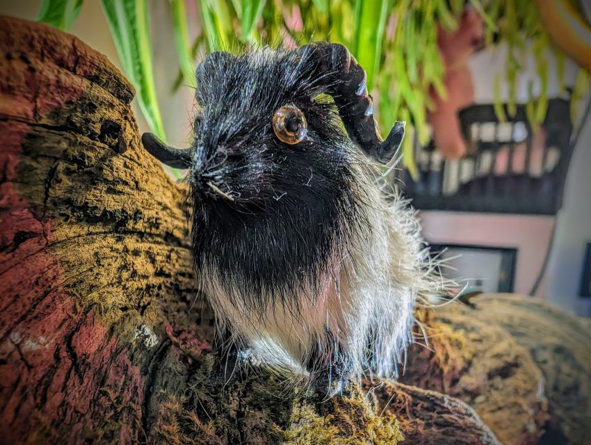 Small black goat with tan beard sits on a textured log, green plants behind and a blurred cage in the background.