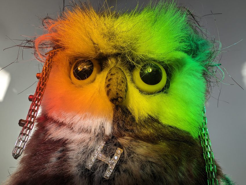 Close-up of a rainbow-colored plush owl with orange-to-green fur, large round eyes, a small beak, and metallic clips on its chest.