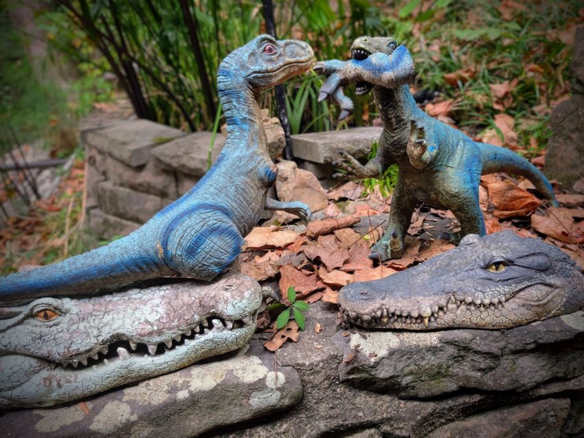 Two blue dinosaur statues facing each other with open jaws among rocks and fallen leaves in a garden.